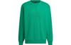 Graphic Sweatshirt Men's Smoke Green IT3976