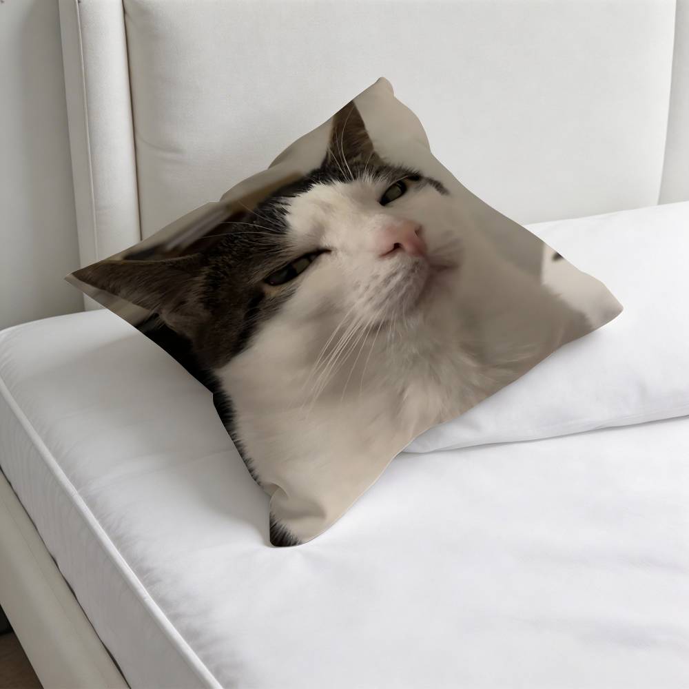 Funny Cat MeMe Decorative Square Pillow Cover Soft  Comfortable Pillow Case Sofa Bed Home Decoration