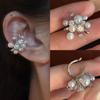 Exquisite Zircon Pearl Arc Earrings - 2026 New Style, Light Luxury, High-End Stud Accessories for Women