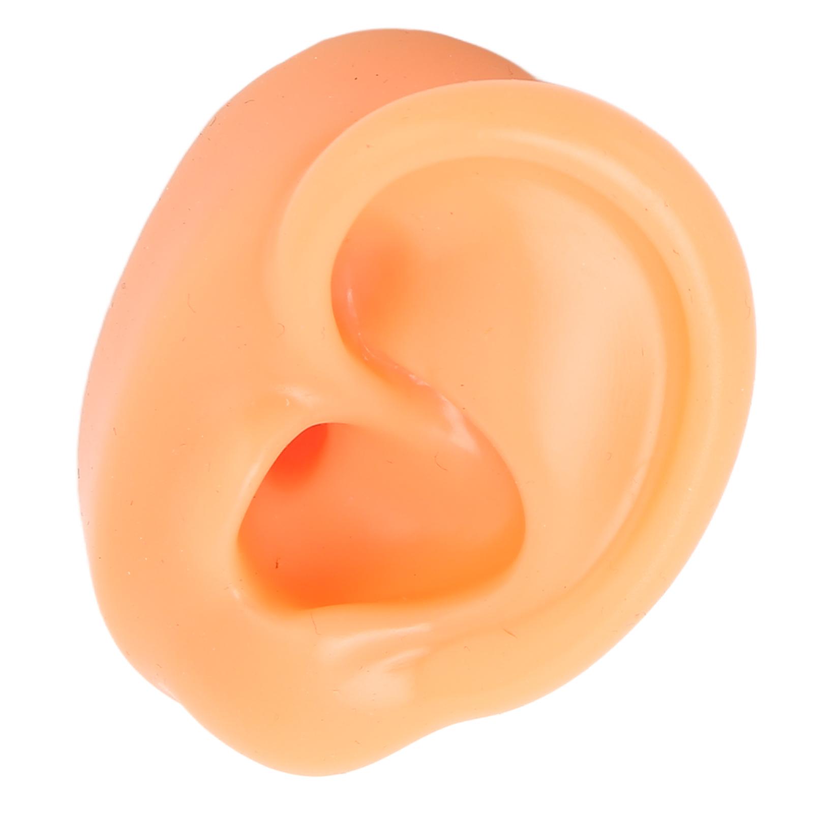 

Силиконовая модель уха Мягкая гибкая правая модель уха Многоразовая модель человеческого уха для тренировки пирсинга уха