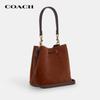 Coach Rowan Small Shoulder Crossbody Bag