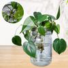 2 Pcs Mason Flower Jar Insert Lid for Wide Mouth Mason Canning Jars Plastic Mason Grid Flower Organizer Lid Insert Mason Jar Lids with Straw Hole