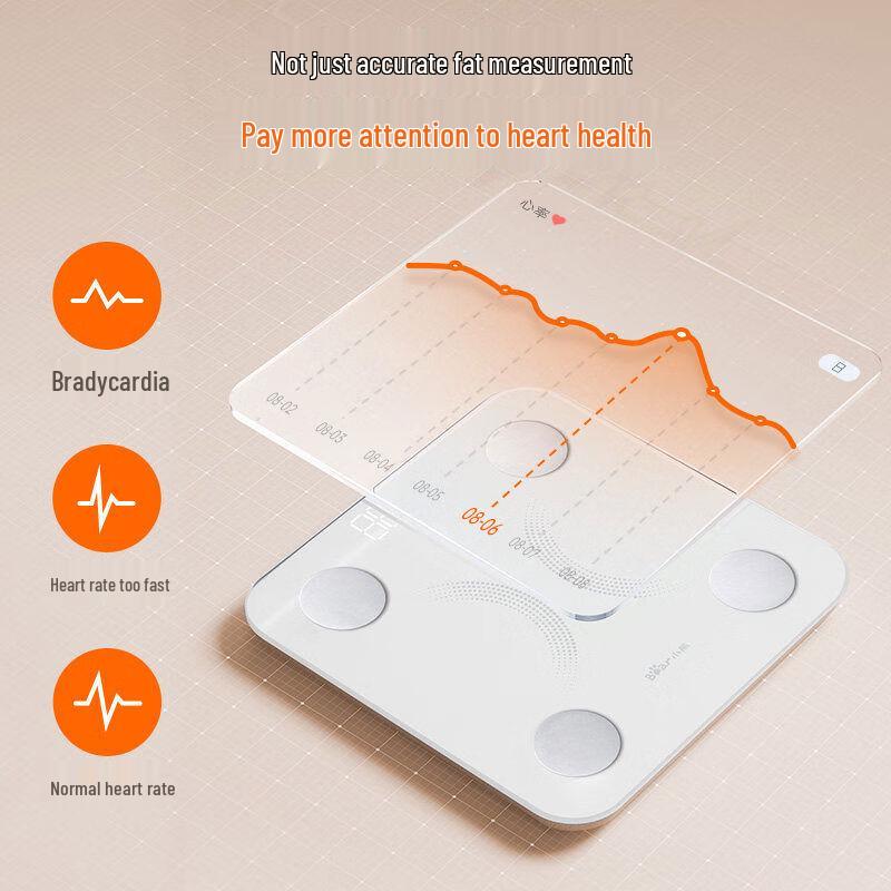 Little Bear Smart Body Fat Scale (CN version)