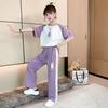 Summer Children's Fashion Casual Short-sleeved Trousers Suit, Small and Medium-sized Children's Cartoon Print Wide-leg Sportswear