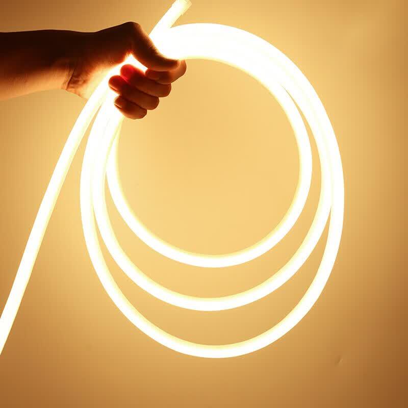 Beigong 360-Degree Luminous Waterproof LED Neon Rope Light