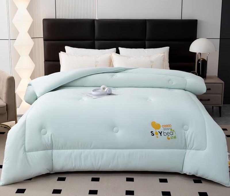 

Southern Life Super Soft Soybean Winter Quilt