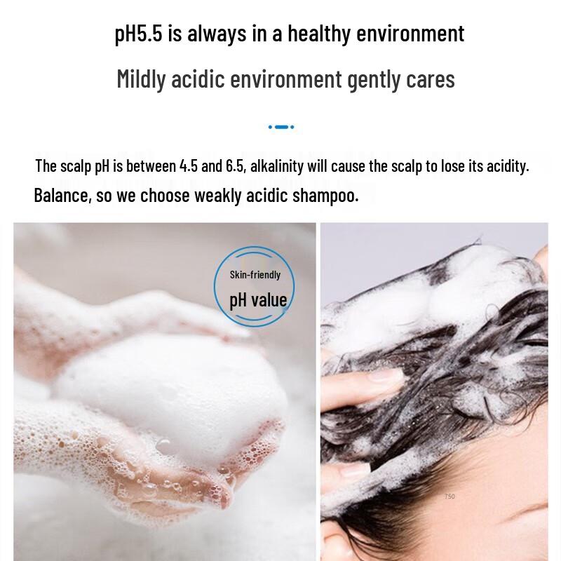 B2V Black Algae Hair Repair & Smooth Collection