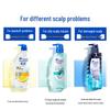 Head & Shoulders Ginger Anti-Dandruff Shampoo