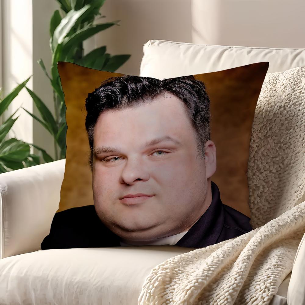 Internet Celebrity S-SteveS Bridges Cushion Cover For Pillow Printing Sofa Decoration Home Car Room Shop Office NordicSimplicity