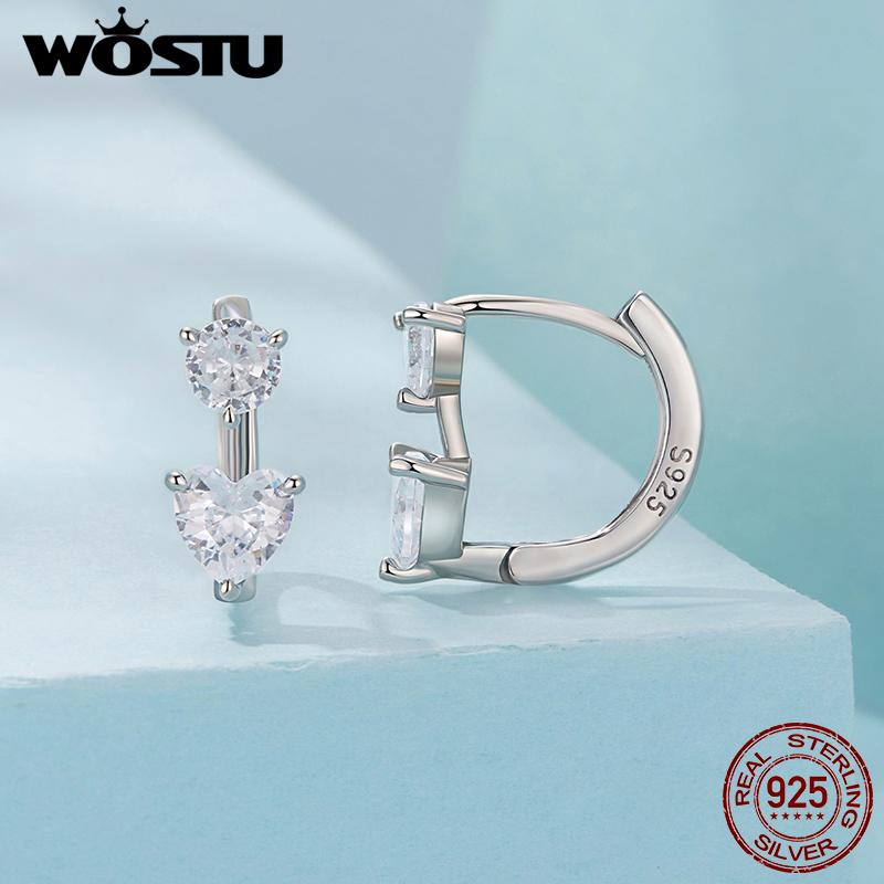WOSTU 925 Sterling Silver Heart Round AAA Zircon Wedding Stud Earrings Love Shape Drop Earrings Hypoallergenic Valentine’s Day
