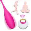 USB Rechargeable Wireless Remote Control G-spot Vibrator Stimulation Egg Adult Sex Toys
