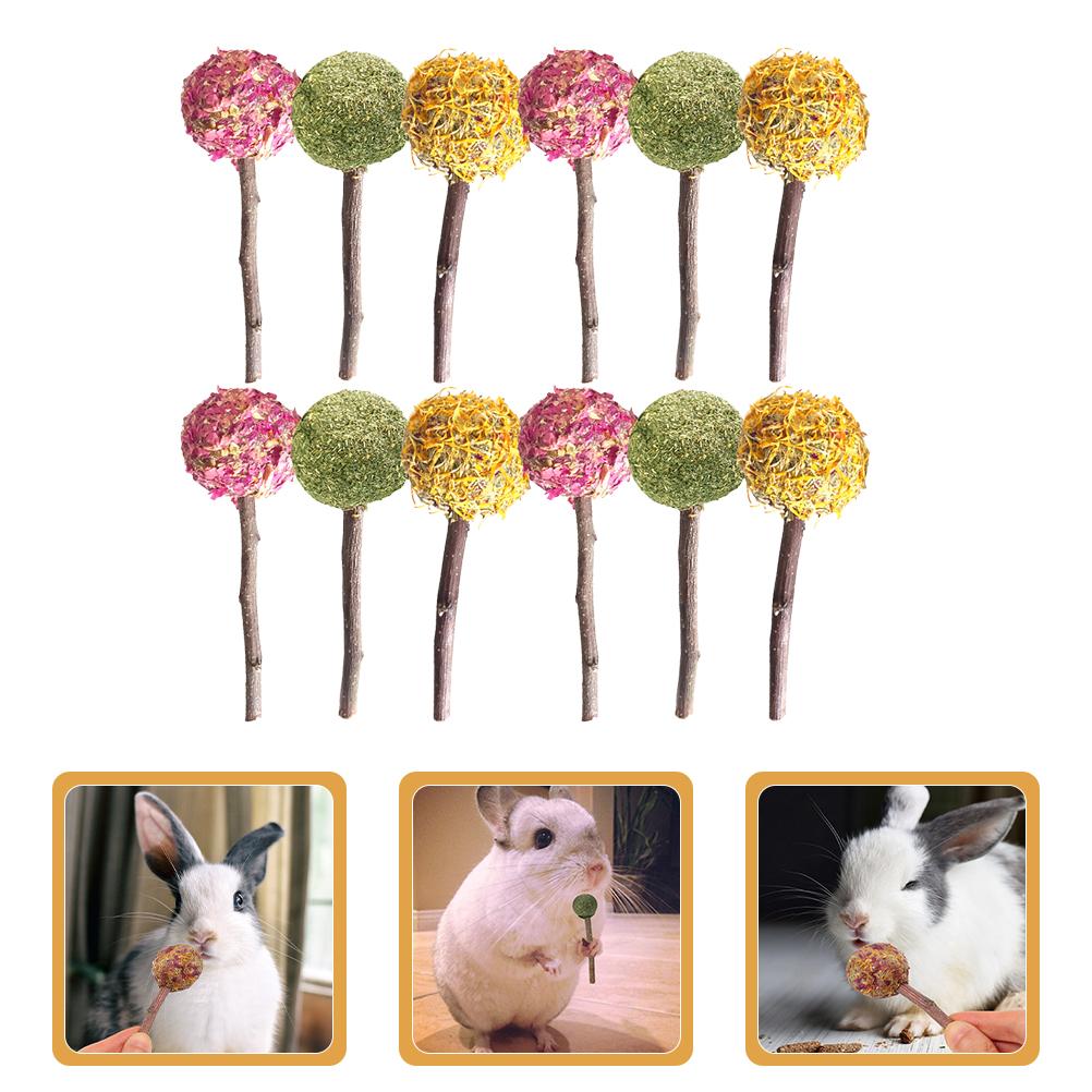 12 Pcs Lollipop Pet Rabbit Snacks Guinea Pig Toys Hamster Chewing Sticks Plant Bunny Molar Animals Biting Playthings