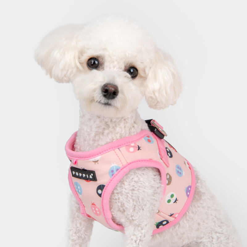 Ladybug Harness B SIZE M (PAWA-HB1957)