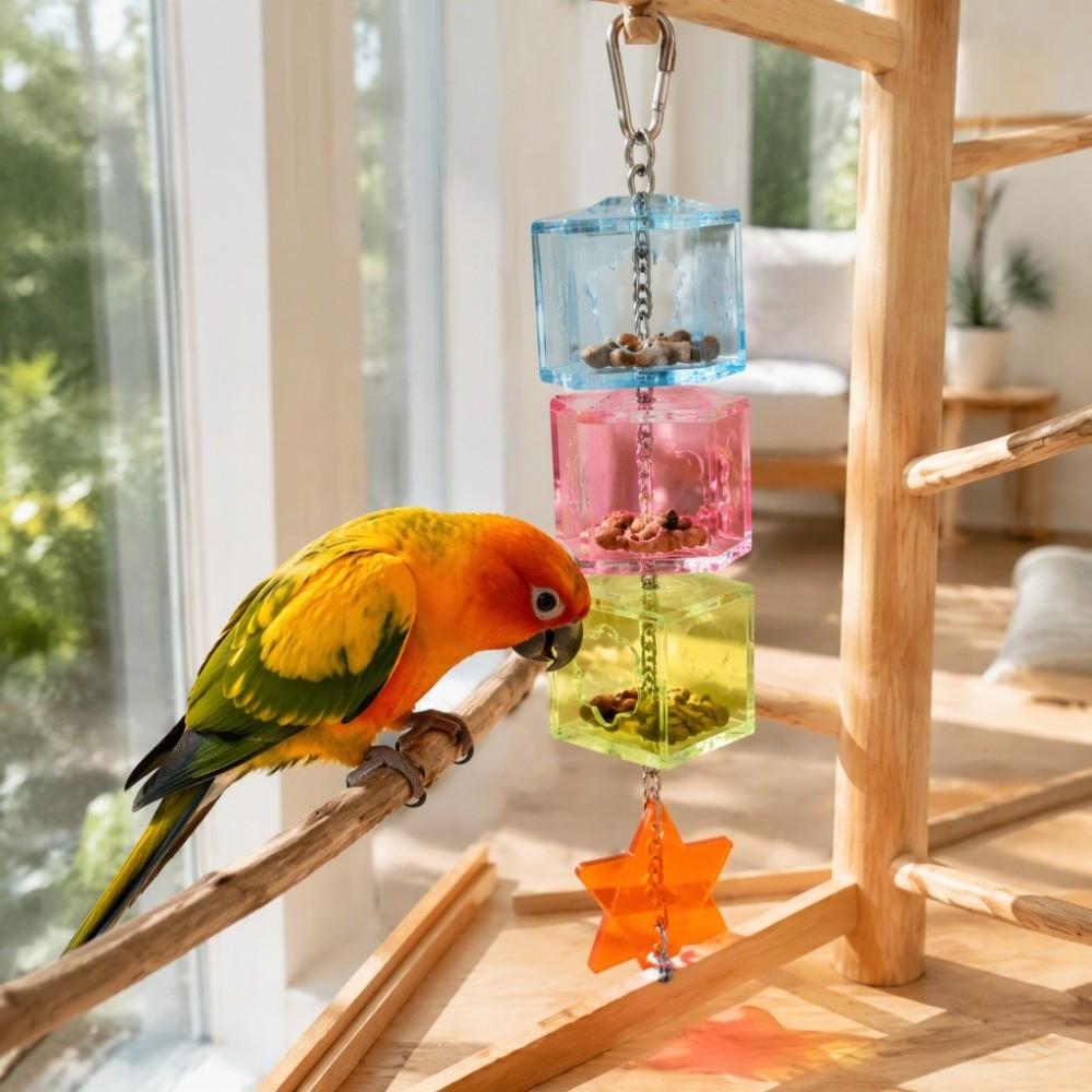 Hanging Design Bird Forage Box Multilayer Creative Parrot Feeder Creative Foraging Toy For Parrots