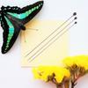300Pcs Insect Specimen Pins Stainless Steel Rust-Resistant Precise Mounting Needles for Entomology Display Butterfly Collection