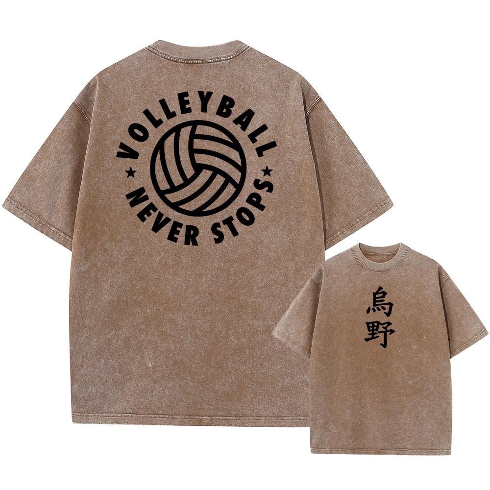 Anime Haikyuu!! Volleyball Hinata Shoyo Graphic Washed T Shirt Men Women Manga Tshirts Casual Loose T-shirt Harajuku Cotton Tops