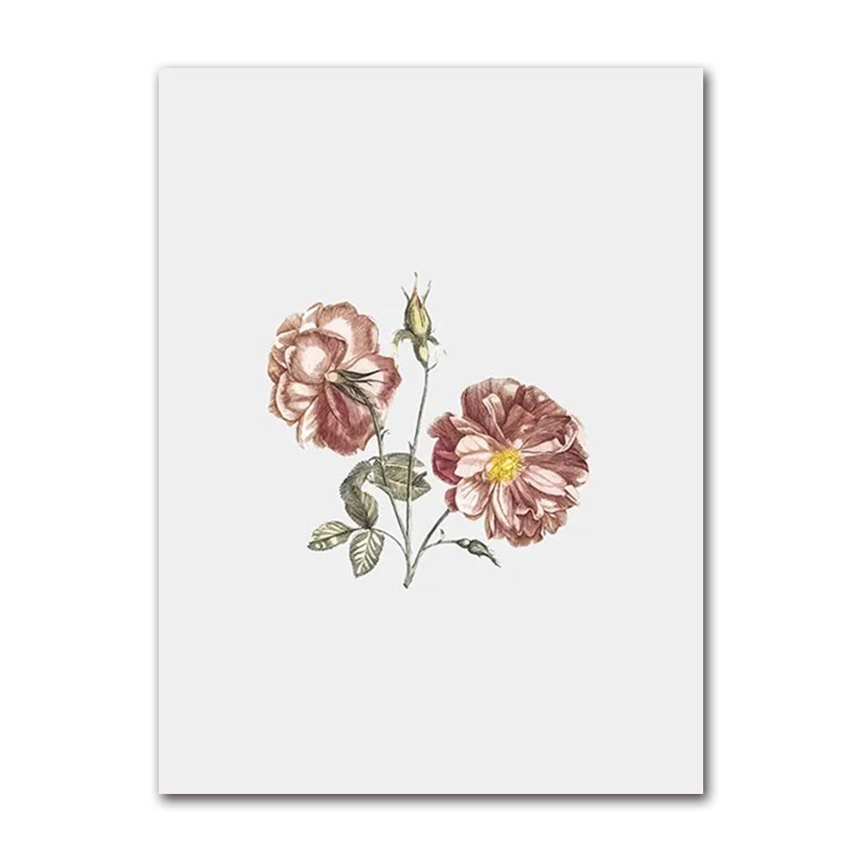 Vintage Wildpflanzen Poster Botanische Blumendrucke Leinwandmalerei Moderne Wandkunst Bilder für Wohnzimmer Dekoration