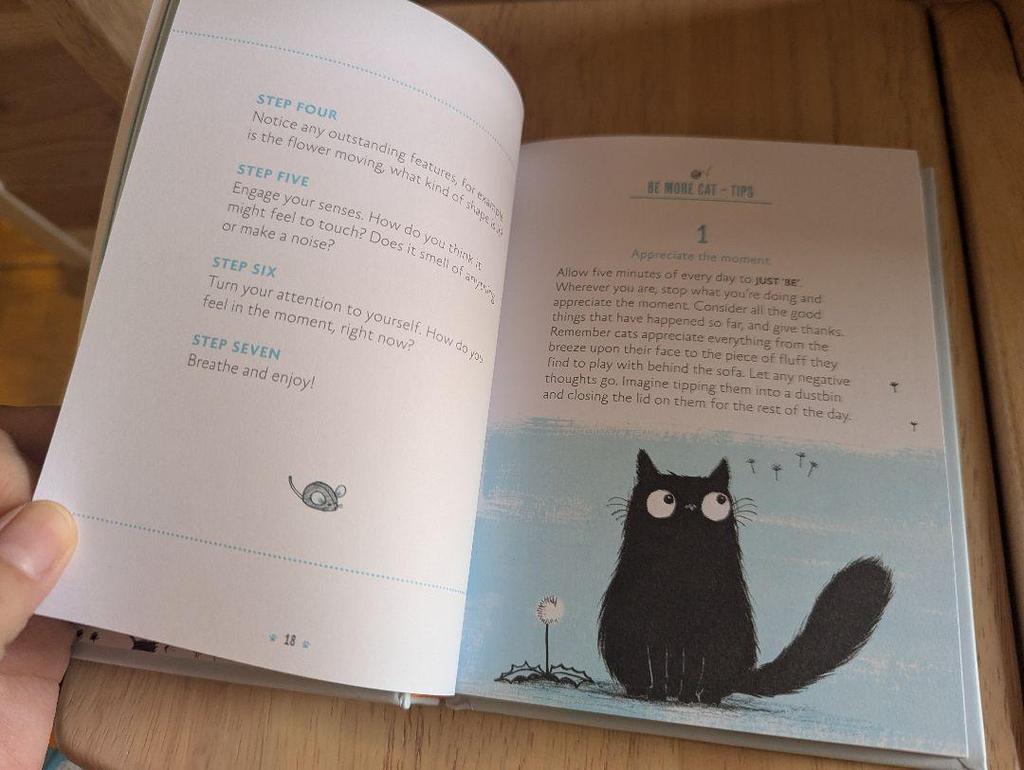 [USED] A small book on cat philosophy that cat lovers will want to keep as a talisman: Be More Cat