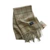 Korean Style Autumn and Winter Fresh and Gentle Retro Warm Scarf Women's Shawl Versatile Commuting Tassel Fine Sand Imitation Cashmere Scarf