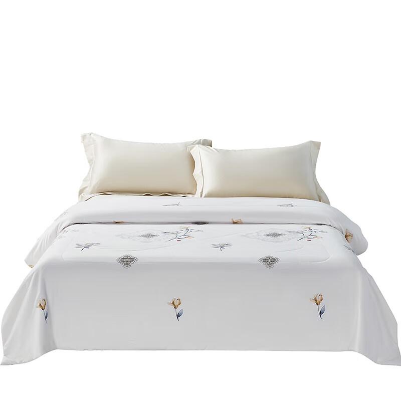 

Taihu Snow All-Season Cooling Tussah Silk Quilt