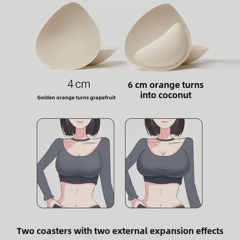 Seamless Padded Bra for Women with Small Busts - Wire-Free with Waist Slimming Design