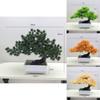 Plastic Conifer Branches Fake Pine For Indoor Landscaping And Decoration