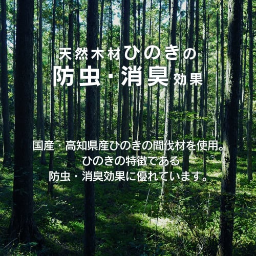 Tosa Hinoki Slatted Floor Mat SSN-8546 Natural