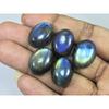 15X20MM Natural Labradorite Blue Fire Oval Cabochon Loose Gemstone 05Pcs Lot C-1053