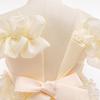 Girls' Cross-Border Flower Princess Dress 2025 - New Children's Performance Dress