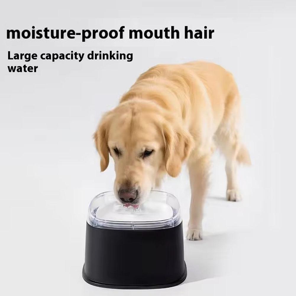 Spill Proof Water Bowl for Dogs Slow Drinking Bowl for Messy Drinkers Large Capacity Pet Puppy Kitten Water Feeding Dispenser
