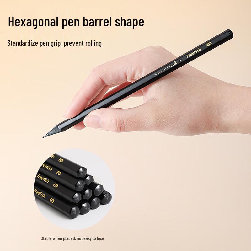 Black Wooden HB Pencils