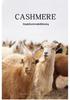 Women's Cashmere Sweater, Round Neck Pullover, Versatile Fit Knitwear for Autumn and Winter