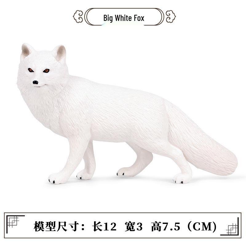 Arctic Fox Realistic Heart Model Toy for Kids – Science Education Doll