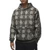 Jordan SS25 Quick-Dry Pullover Hoodie Men Hoodies Sail-White Carbon-Black HF9895010