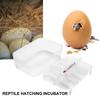 12 Grids Reptile E-egg Incubation Tray Tray Gecko Lizard Snake Eggs Incubation Insect Keeping Box Incubator Tray Breeding Tool