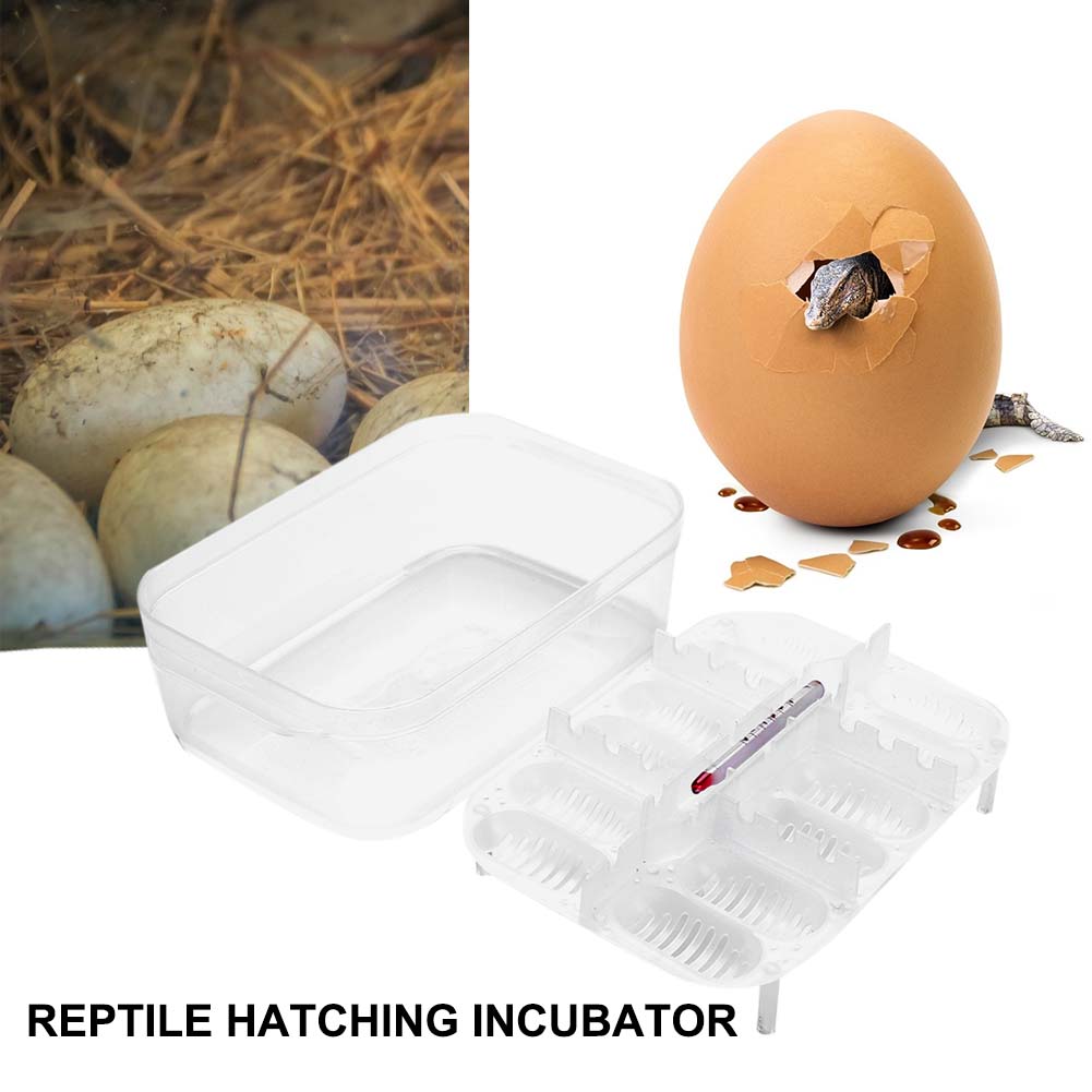 12 Grids Reptile E-egg Incubation Tray Tray Gecko Lizard Snake Eggs Incubation Insect Keeping Box Incubator Tray Breeding Tool