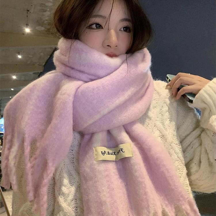 Korean Atmosphere Imitation Cashmere Tassel Scarf Women's New Autumn and Winter Warm and High End Versatile Scarf