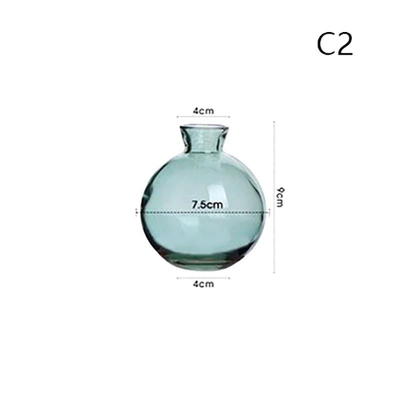 Przezroczysty szklany wazon na nasiona awokado Wazon na nasiona Zestaw do uprawy Wazon na awokado do uprawy Prezent dla miłośników ogrodnictwa Wystrój domu