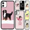 Telefon kapları – Smartphone Bumper Kılıflar