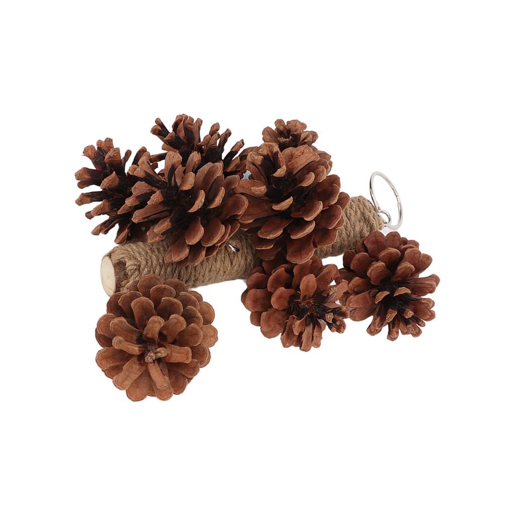 Birds Bite Toy Wooden Pine Cone Hanging Parrots Beak Grinding Toy with Metal Hook for Cage
