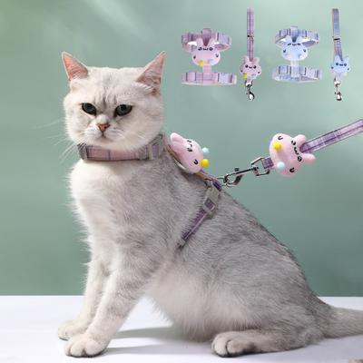 Kedi – Kedi Boyunluk ve Tasmaları