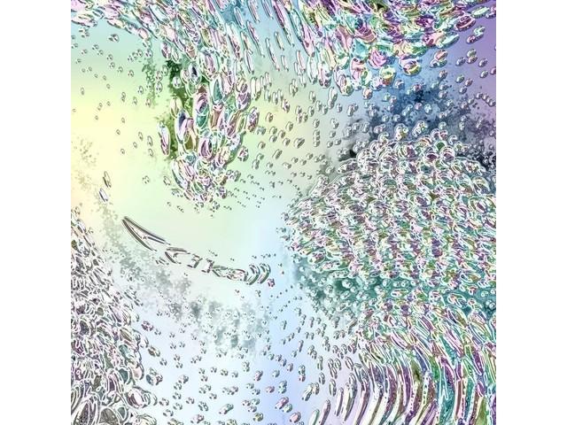 

[CD+Blu-ray] ((ika)) First Press Limited Edition Tempalay WPZL-32122 J-Pop NEW