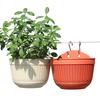 Semi-Circular Wall-Mounted Flower Pot Plastic Imitation Rattan Hanging Succulent Green Radish Special Balcony Decoration Contain