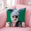 Kpop Style Hot A-Ateez Cushion Cover Comfortable Double Sided Pillow Cover For Car Sofa Bedroom & More