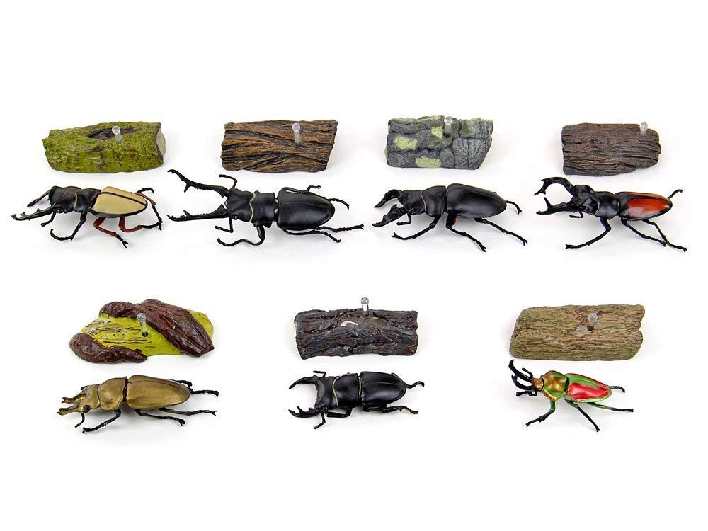 COLORATA Stag Beetle 3D Illustrated Book Types Explanation Realistic Figure Birthday Present Gift Sanitation Law Figure Box Beetle Christmas Present