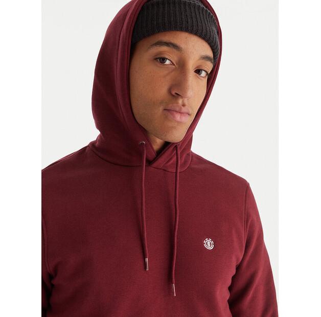 Element Icon Embroidery Hoodie