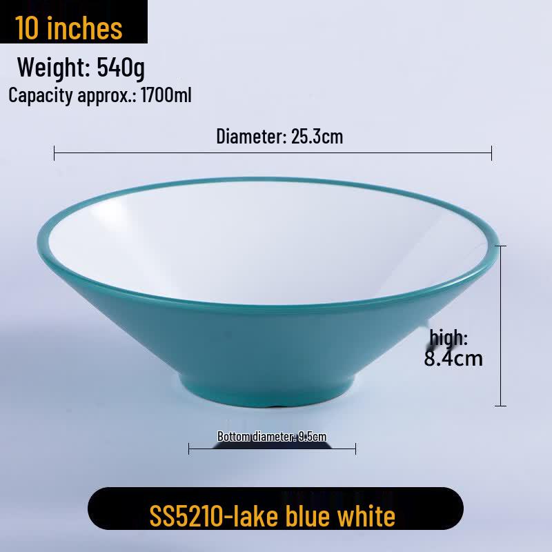 ZISIZ Melamine Conical Dining Bowl