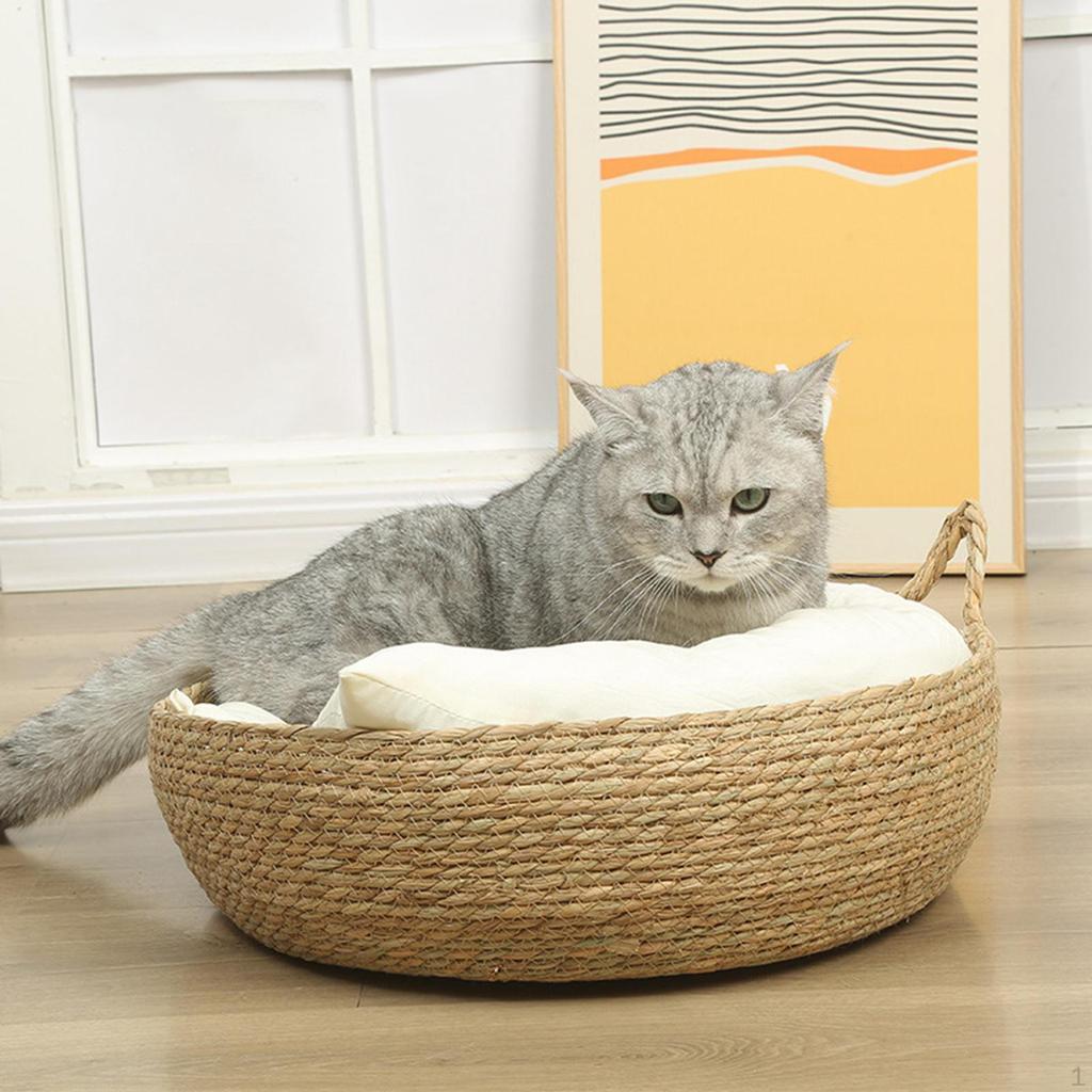 Lounge Bed with Interchangeable Cushion for Small Pets