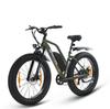 SPATIAL Parrot Women’S All-Terrain Electric Bicycle 250W Motor 48V13AH Battery Outdoor Riding Electric Bike 26 Inch Off-Road E-Mountain Bike