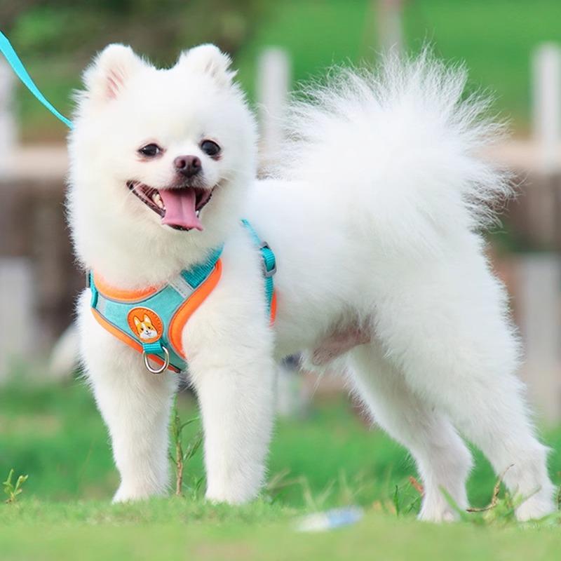 Ventilate Vest Type Dog Leash Pet Chest Strap Reflective Design Puppy Walking Leash Safety Protection Dog Neck Ring Collars